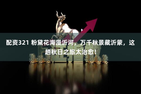 配资321 粉黛花海漫沂河，万千秋景藏沂蒙，这趟秋日之旅太治愈！